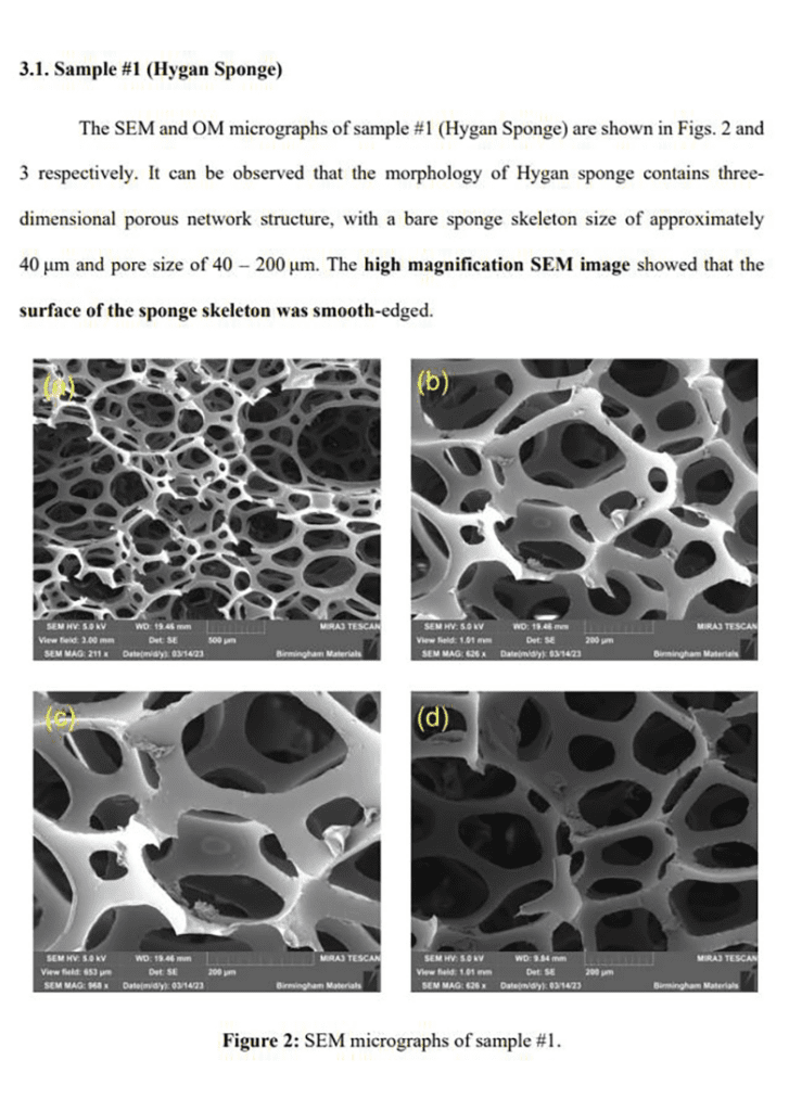 Sample of Hygan Sponge from Research Study