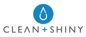 Clean and shiny logo